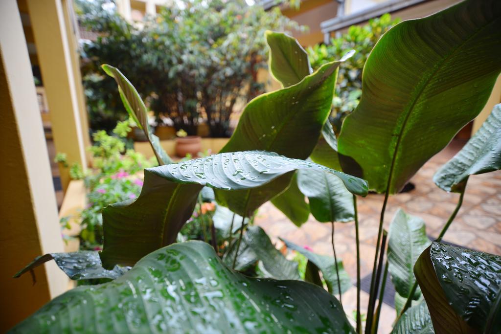 Hotel Lilian Puerto Iguazu Bagian luar foto